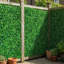 Paquet de 12 panneaux de buis artificiels de 10 x 10 pouces, écran de haie d'intimité protégé contre les rayons UV pour la décoration de clôture de jardin intérieur et extérieur