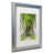 argent