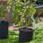 Pot Planter