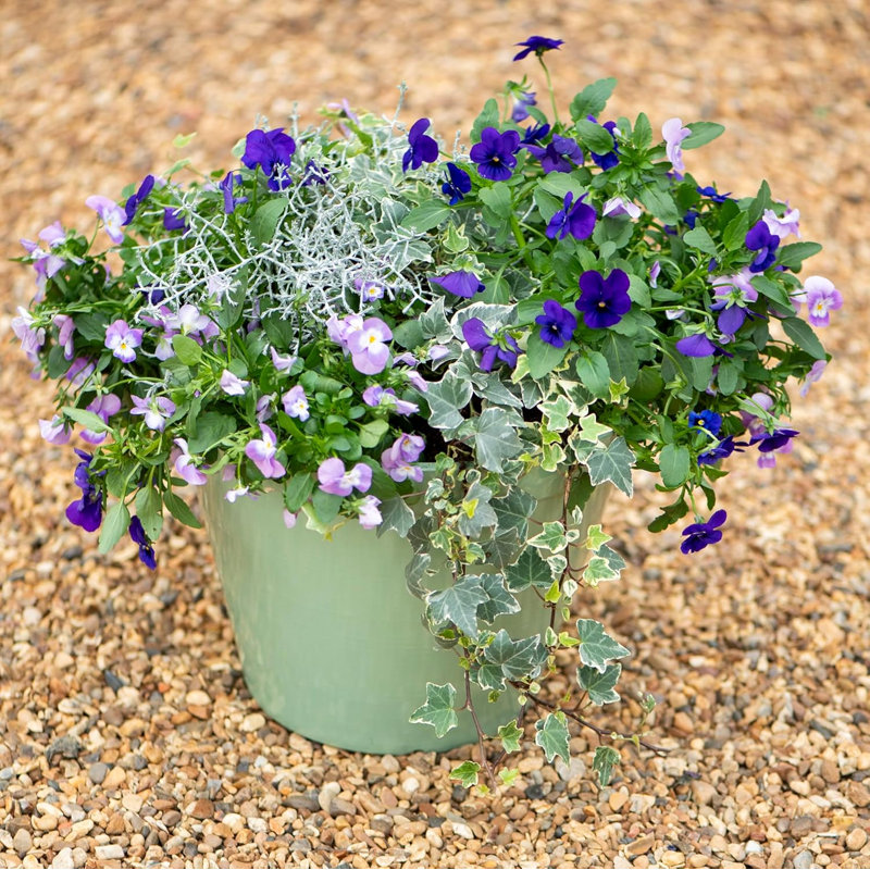 Cateena Pot Planter, Green