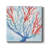 " Galapagos Coral "-1348773028