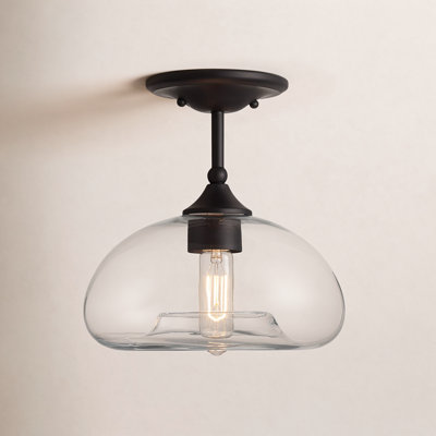 Lani 1-Light Ceiling Light in Matte Black