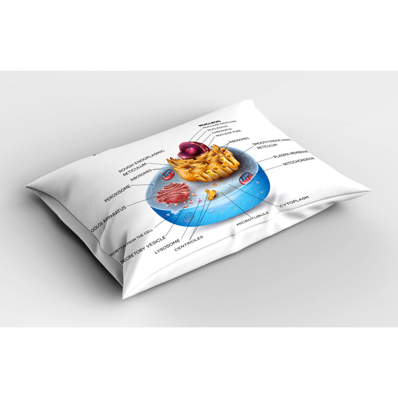 Educational Polyester Sham Set, Twin