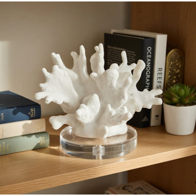 Tidecrest Coral Sculpture On Acrylic Base