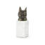 Bastet Animals Figurines & Sculptures