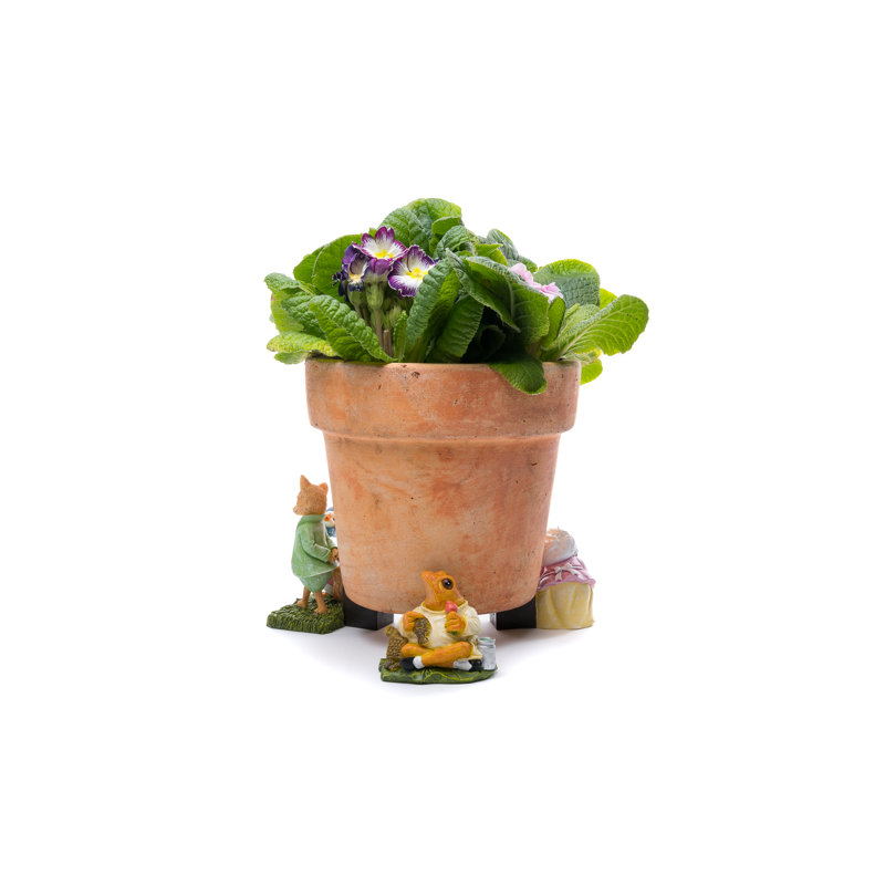 Pieds de jardinière colorés Beatrix Potter Jemima Puddleduck dans une boîte cadeau