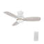 Ventilateur de plafond 44 po avec télécommande, ensemble d'éclairage inclus.-659632959