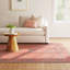 Machine Washable Brixey Oriental Red Area Rug-2025315113