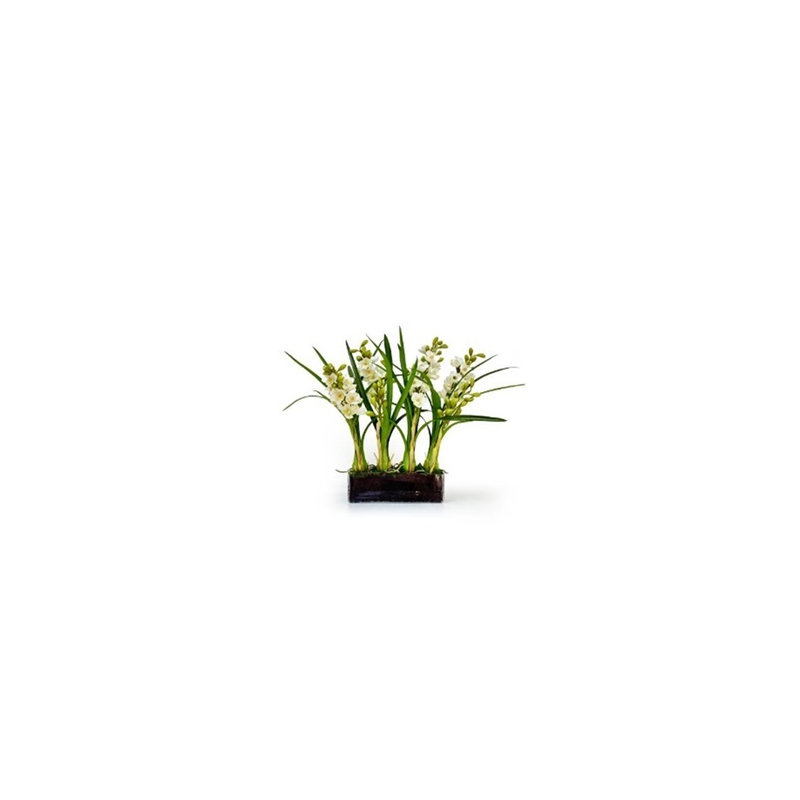 Orchidée cymidium en verre