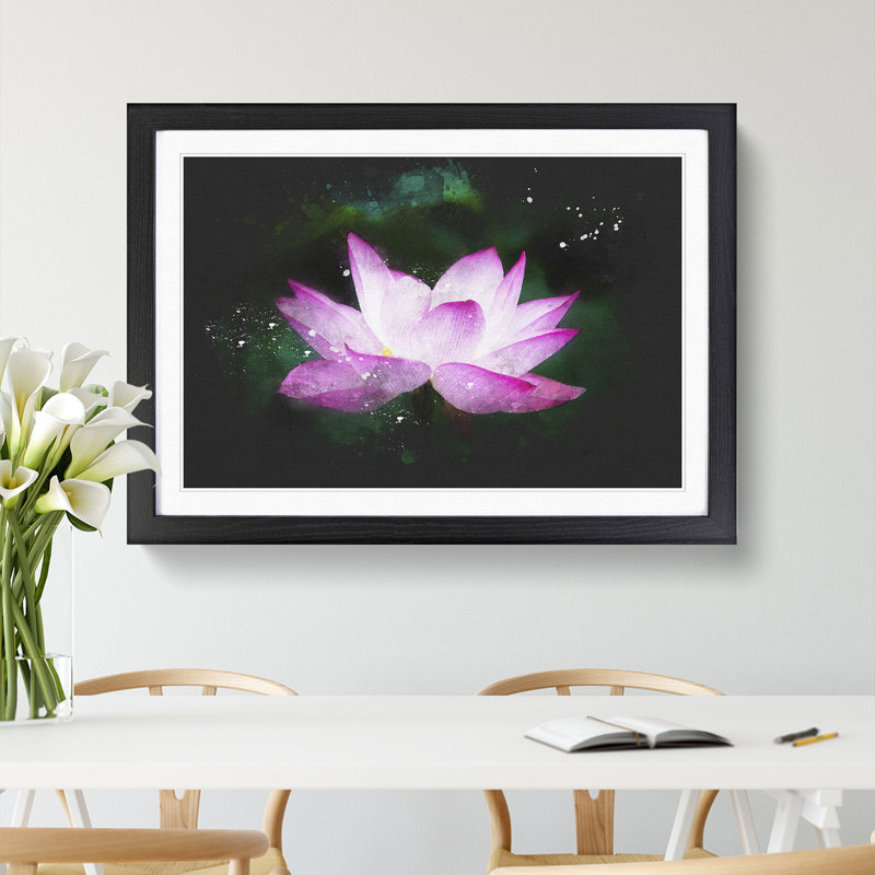 Pink Water Lily Flower Vol.2 - Picture Frame Graphic Art, Black Framed, 27cm H x 36cm W x 2cm D