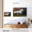 Crowle, jeune cheval-111834777