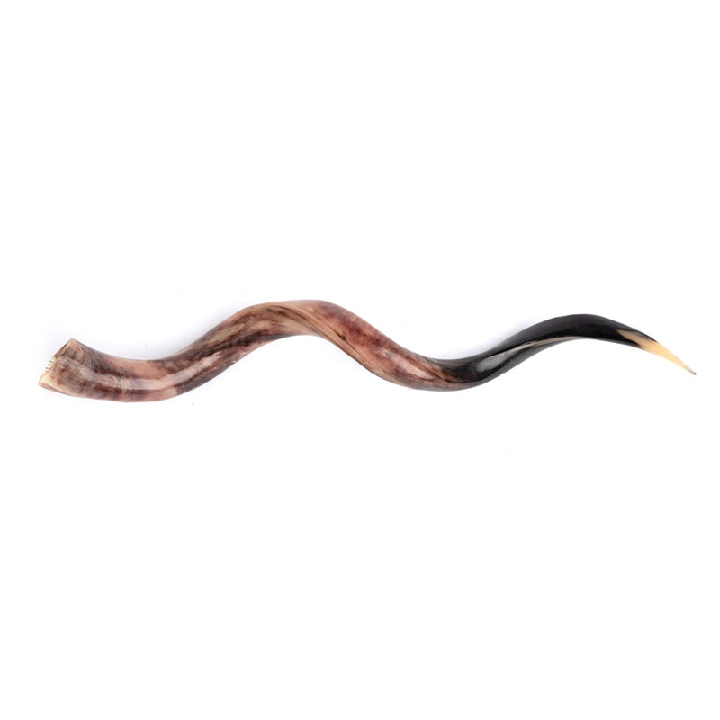 Polished Horn (Loose)