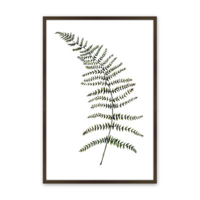 Reproduction d'art «Quiet Fern Study» par Dollybirds