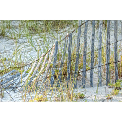Sea Oats II - Wrapped Canvas Print