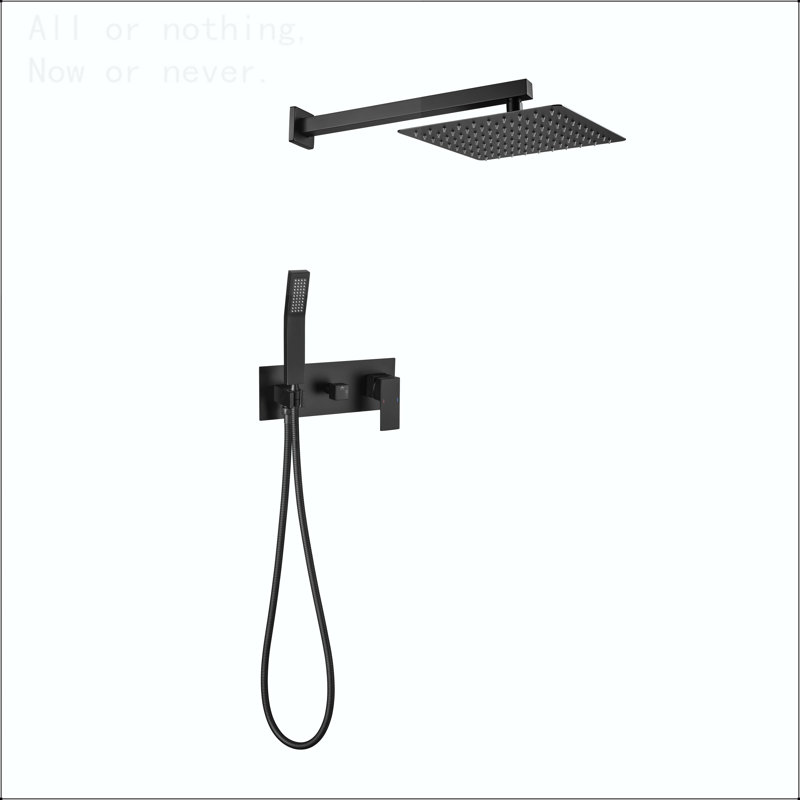 10-Inch Brass Rain Shower System with Handheld, Matte Black
