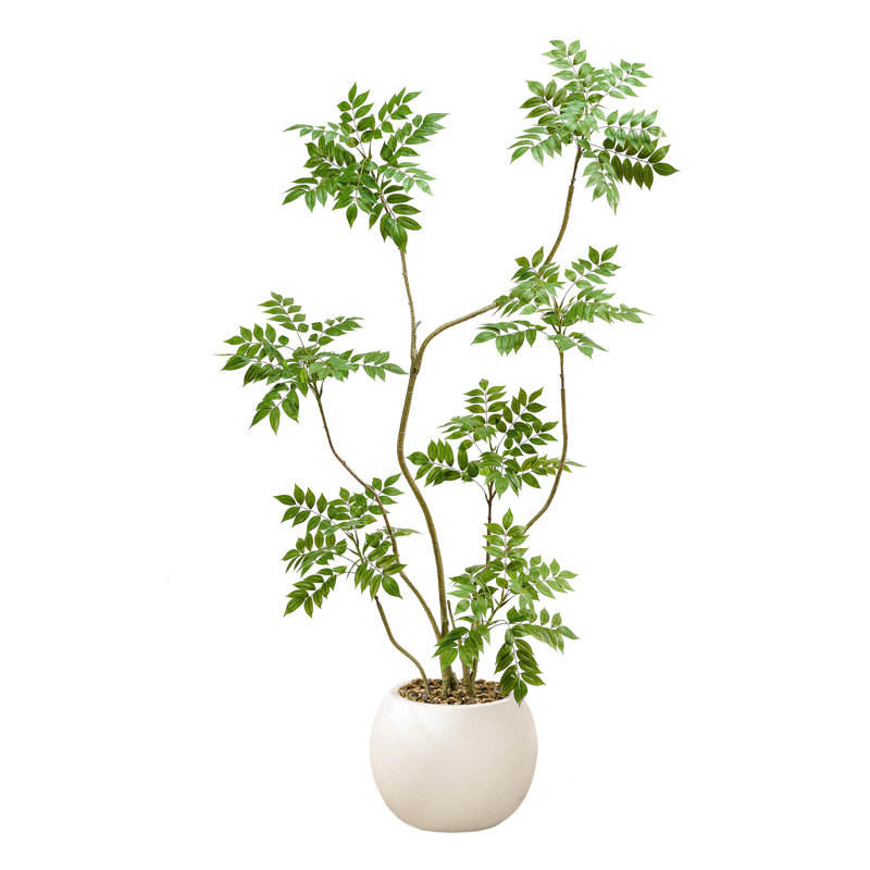 180cm Plant