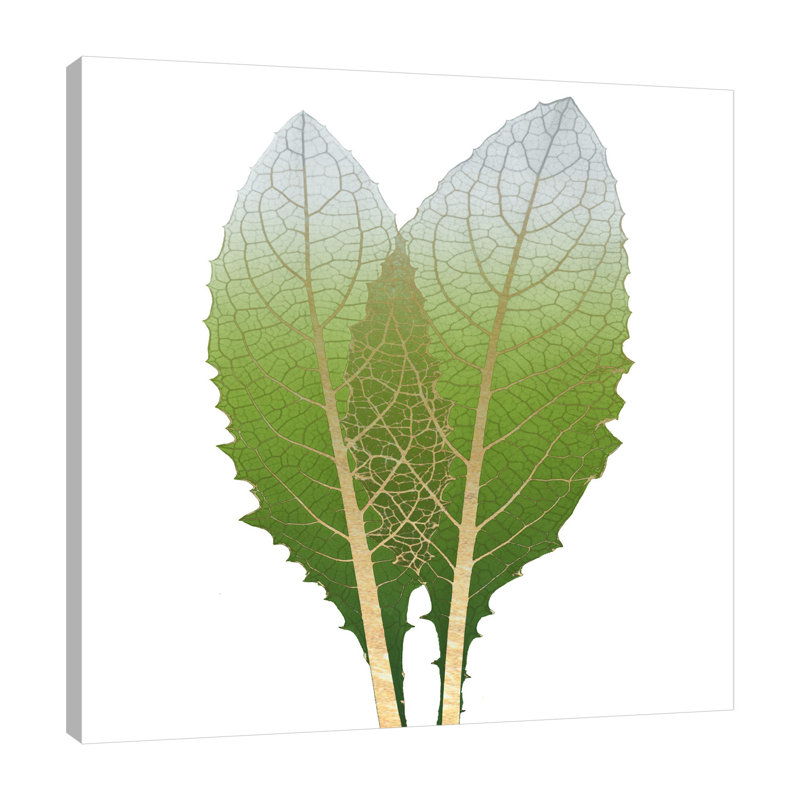 Artichoke - Wrapped Canvas Print, 91 cm H x 91 cm W