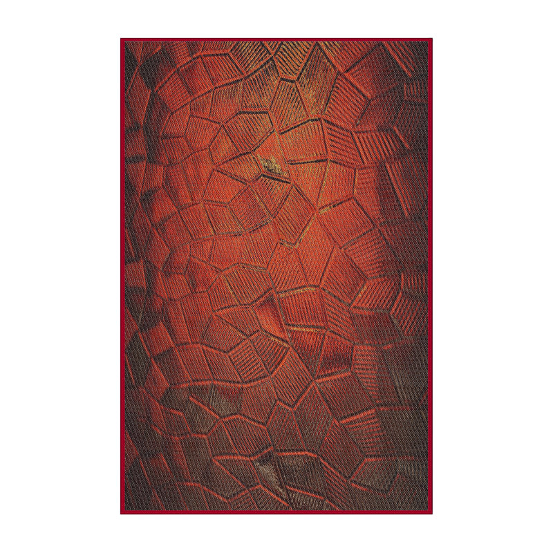 Tapis vert bamberg, Rectangle de 6 pi x 9 pi