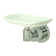 South Beach Soap Dish