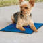 Tapis Coolin 'Pet-21228839