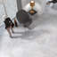 Nagpur Grand Hex 19'' x 22'' Ceramic Wall & Floor Tile-1754456871