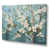 Wrapped Canvas