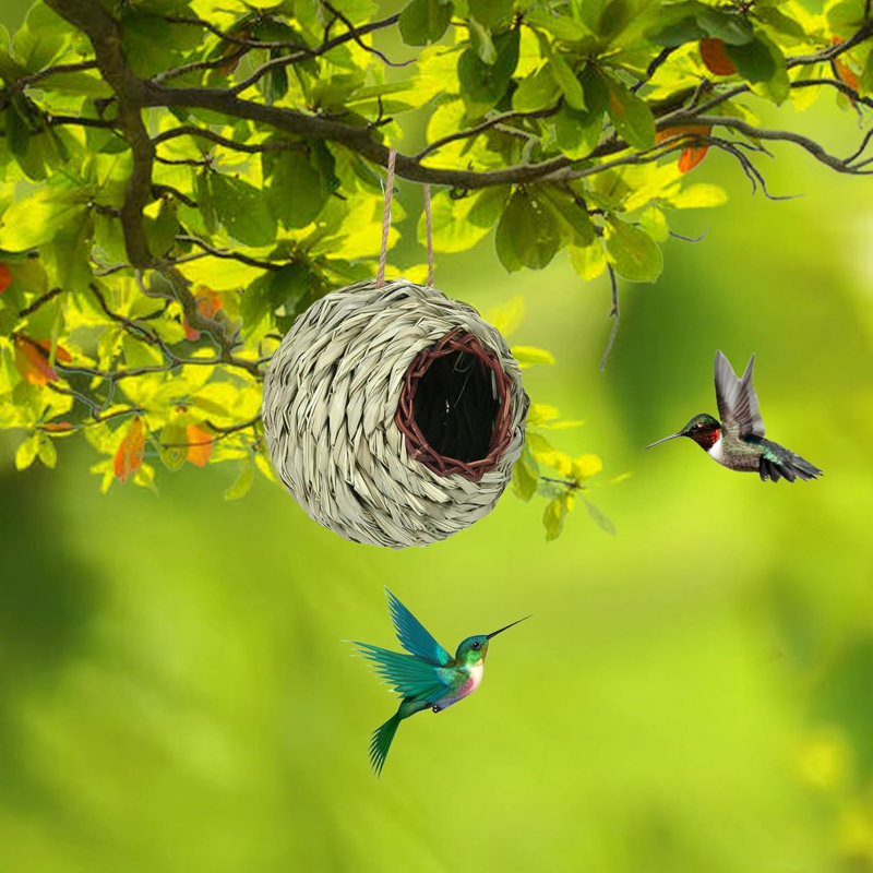 ENSEMBLE DE 3 nichoirs à colibris suspendus pour l'extérieur nid d'oiseau tissé à la main