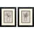 Kelly I Framed Art
