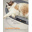 Elevated Pet Bed-105919701