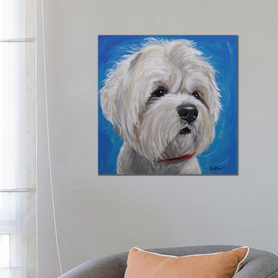 Maltese Shihtzu Mix - Pipa by Hippie Hound Studios - Wrapped Canvas Painting