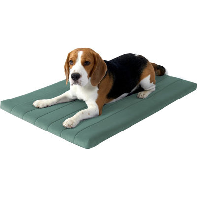 Orthopedic Dog Bed Pad – Washable Crate Foam Pet Mat With Waterproof Liner For Large, Medium, And Puppy Dogs, Mint Leaf