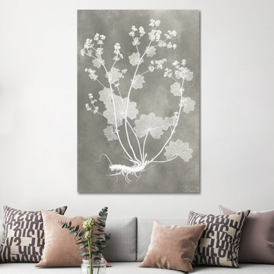 Herbarium Study I - Wrapped Canvas Painting
