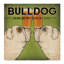 « bouledogue infuseing », impression sur toile tendue-31878352