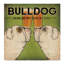 « bouledogue infuseing », impression sur toile tendue-31878353