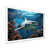 White Single Picture Framed