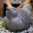 Grossmann Animals Figurines & Sculptures