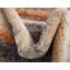 Tapis rayé bleu / orange / beige Aldana-40279138