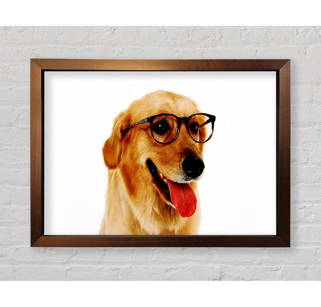 Golden Retriever Nerd Gerahmter Druck