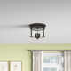 Tide 2 Light Glass Flush Mount