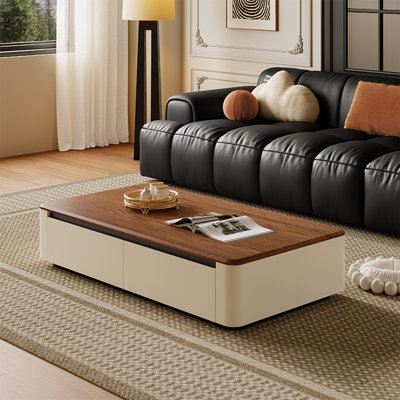 Modern rectangular storage coffee table