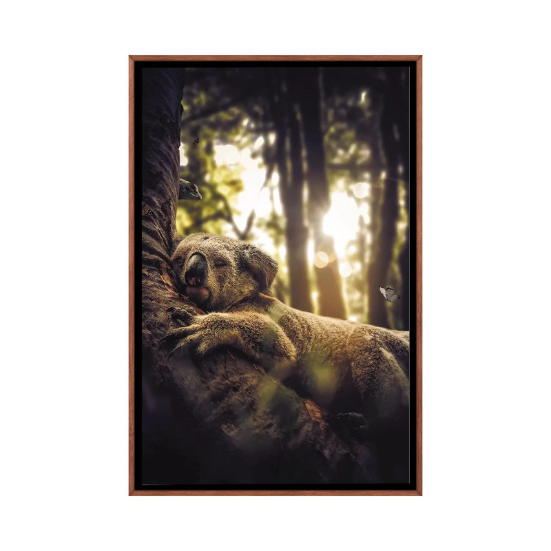 Sleeping Koala by Zenja Gammer - Print on Canvas, 66.04 cm H x 45.72 cm W, Classic Brown Wood Framed