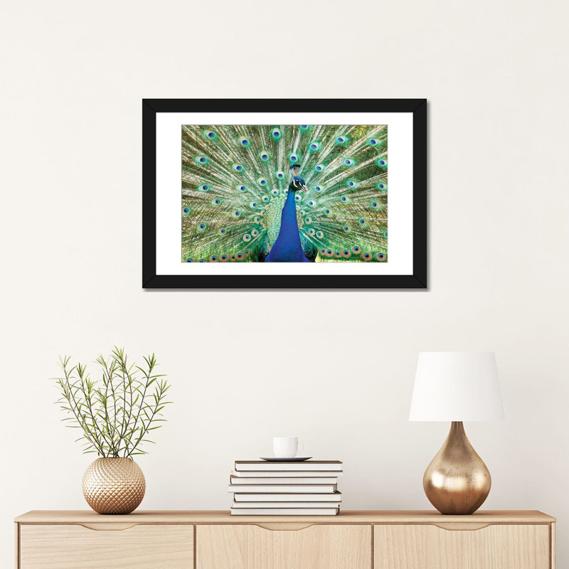 « color peacock », reproduction de photo sur toile tendue, Papier d'art encadré noir, Blanc, H 16 po x l 24 po x P 1 po