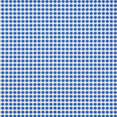 Schumacher x Studio Bon Stella Fabric