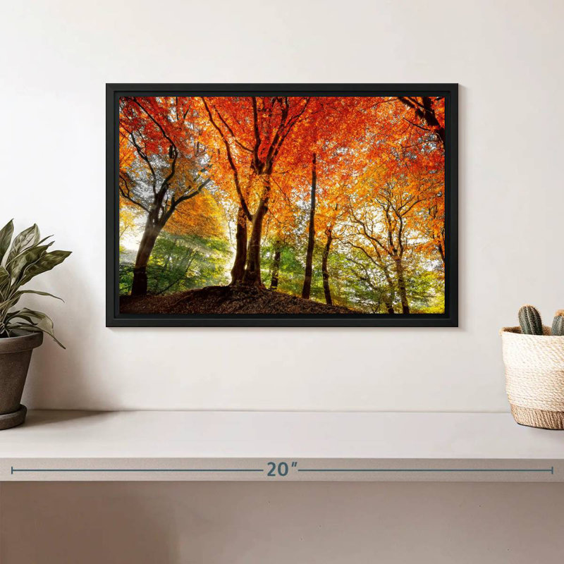 Prism Of Light, Floating Frame Black, 13" X 9"