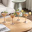 4 Piece 237ml Martini Glass Set