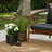 Cypress Natural Rug-1938839695