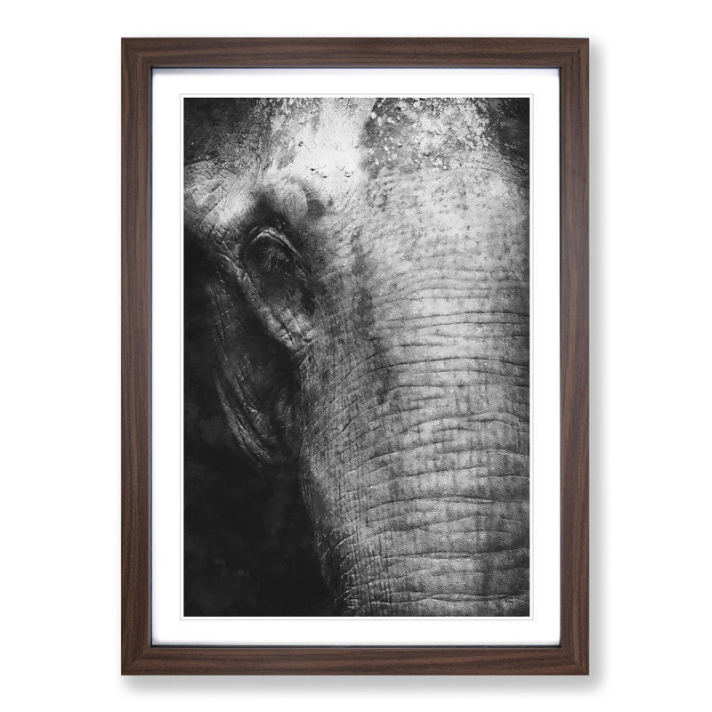 Mighty Elephant in the Shadows - Picture Frame Painting Print, 33cm H x 24cm W x 2cm D, Walnut Framed