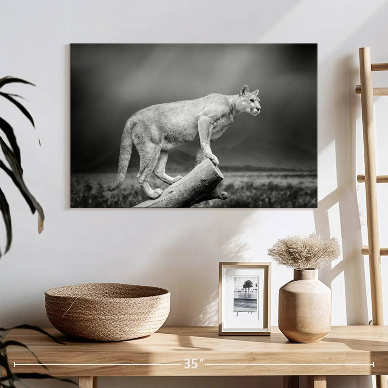 Crowle Dramatic Cougar, 16" H x 24" W