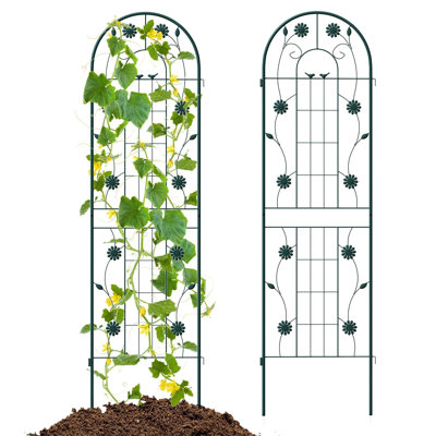 Sorenson 50cm W Metal Arched Trellis