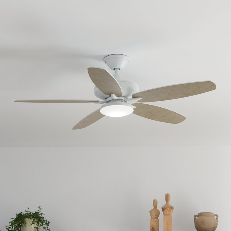 Nyxton 52'' Ceiling Fan with LED Lights